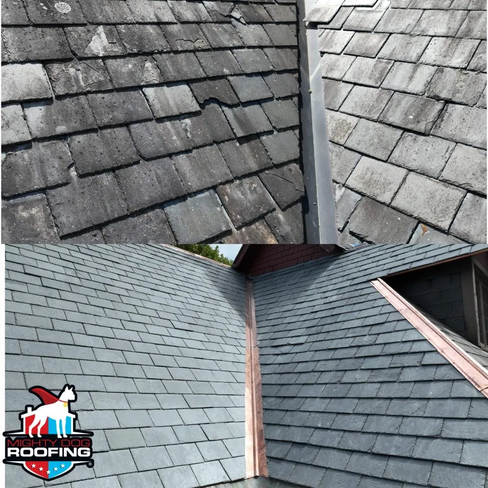 Slide of Mighty Dog Roofing