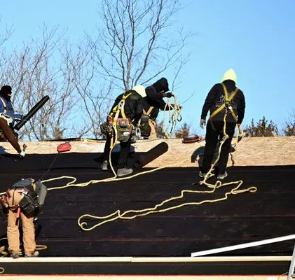 Mighty Dog Roofing Logo