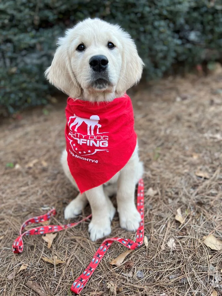 Slide of Mighty Dog Roofing of Central Atlanta