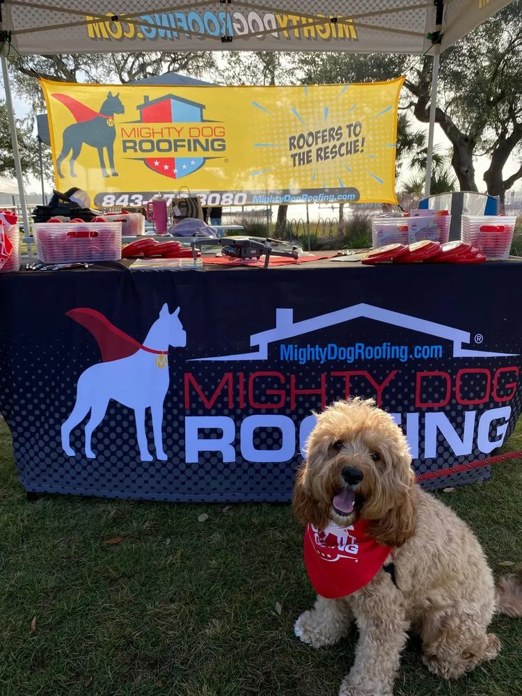 Slide of Mighty Dog Roofing of Charleston