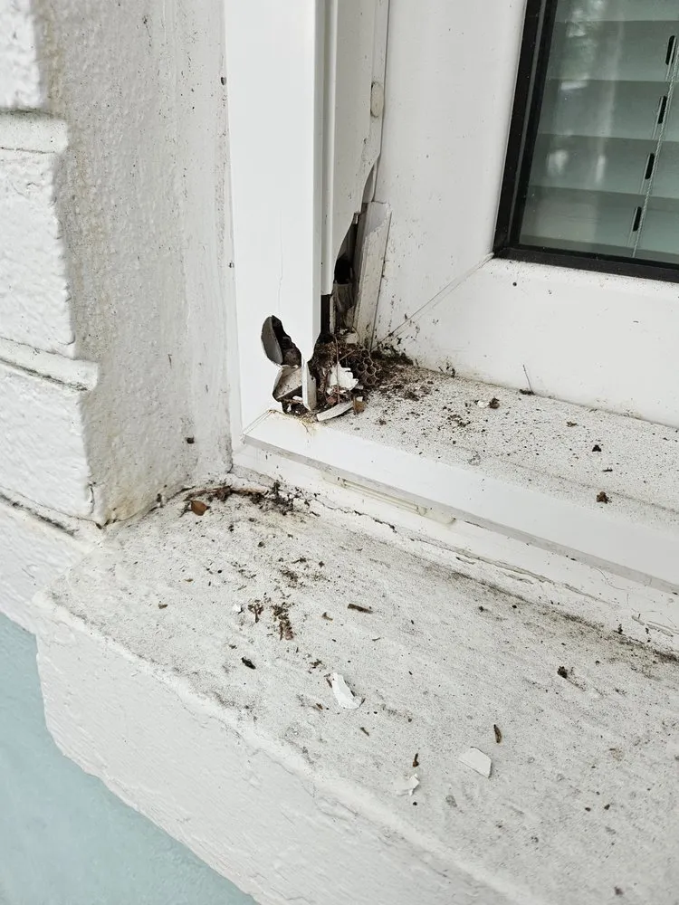 Slide of Mighty Dog Roofing of Clearwater