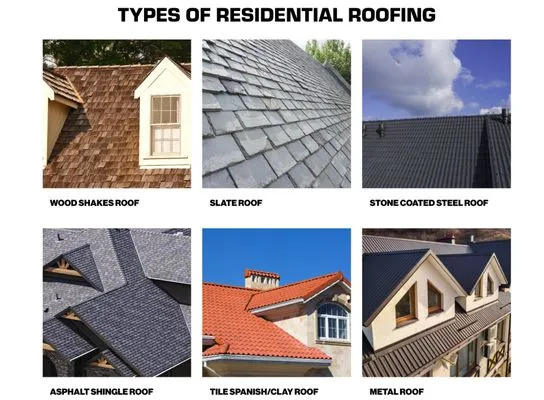 Mighty Dog Roofing of Fort Myers Logo