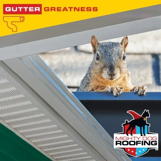 Slide of Mighty Dog Roofing of Minneapolis