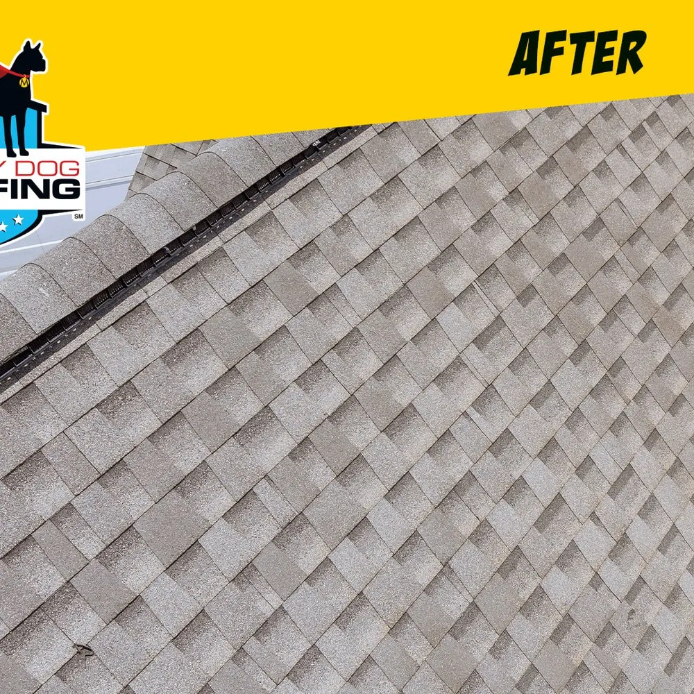 Slide of Mighty Dog Roofing of Minneapolis