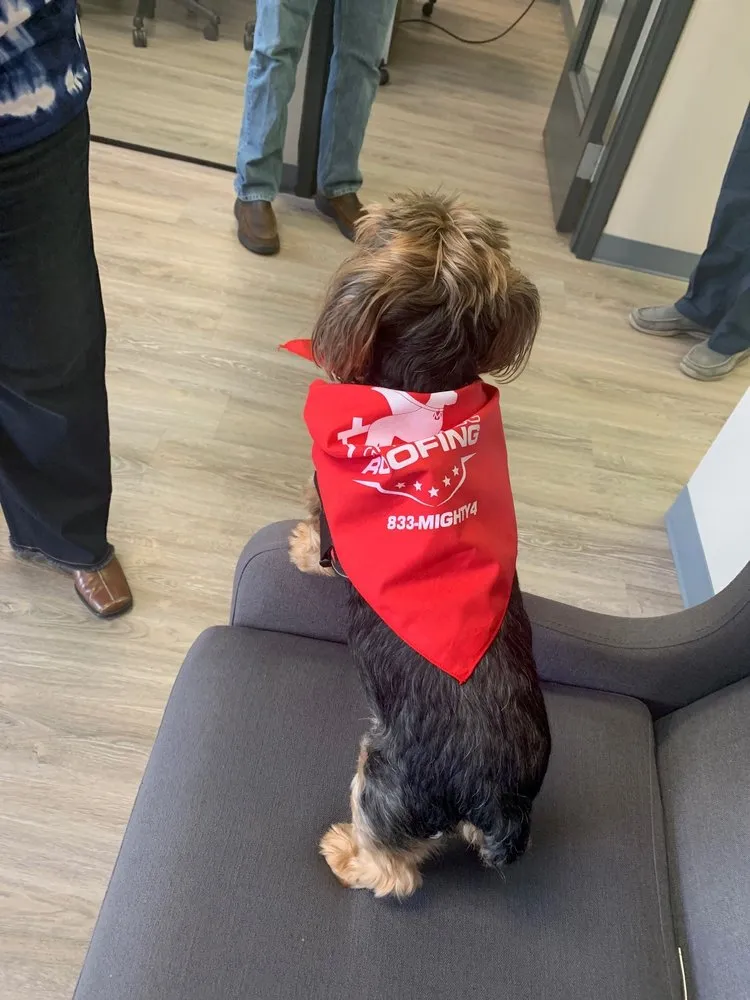 Slide of Mighty Dog Roofing of Northeast Atlanta