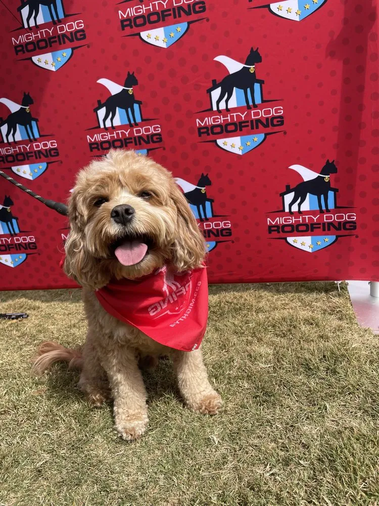 Slide of Mighty Dog Roofing of Northeast Atlanta