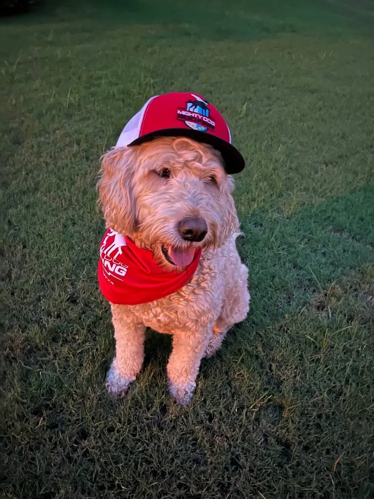 Slide of Mighty Dog Roofing of Northeast Atlanta