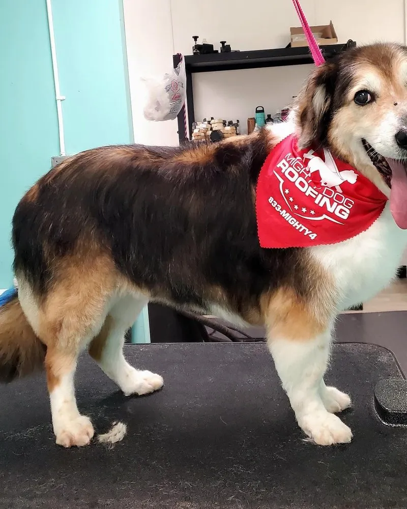 Slide of Mighty Dog Roofing of Northeastern Pennsylvania