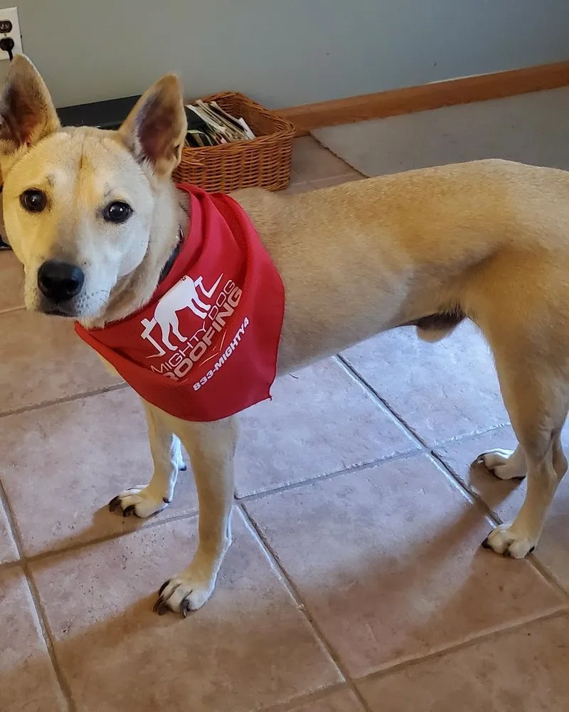 Slide of Mighty Dog Roofing of Northeastern Pennsylvania