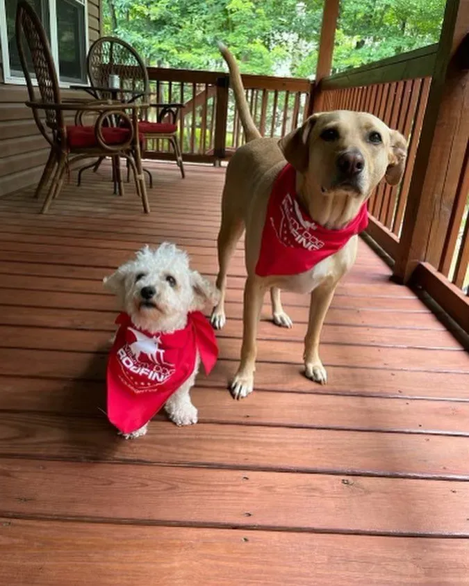 Slide of Mighty Dog Roofing of Northeastern Pennsylvania