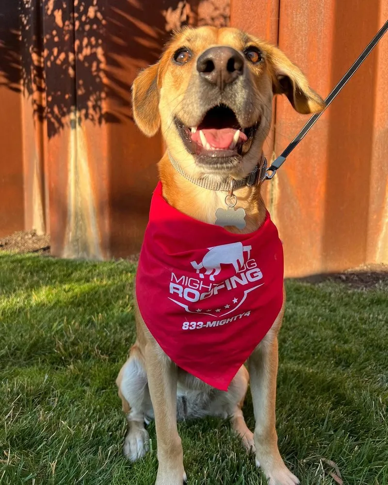 Slide of Mighty Dog Roofing of Northeastern Pennsylvania