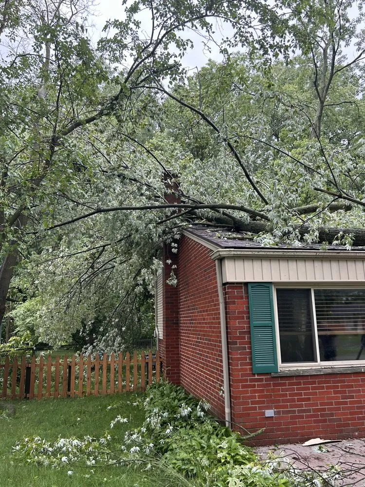 Slide of Mighty Dog Roofing of Novi