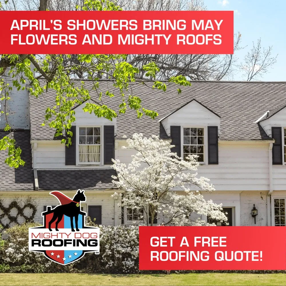 Slide of Mighty Dog Roofing of San Antonio