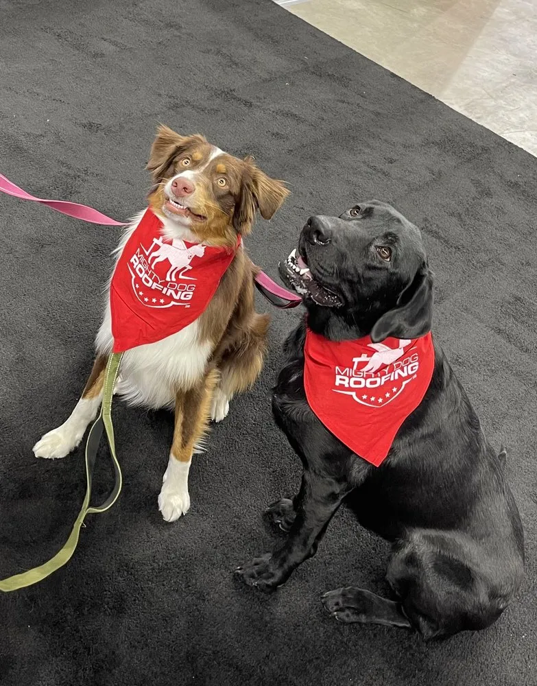 Slide of Mighty Dog Roofing of San Antonio