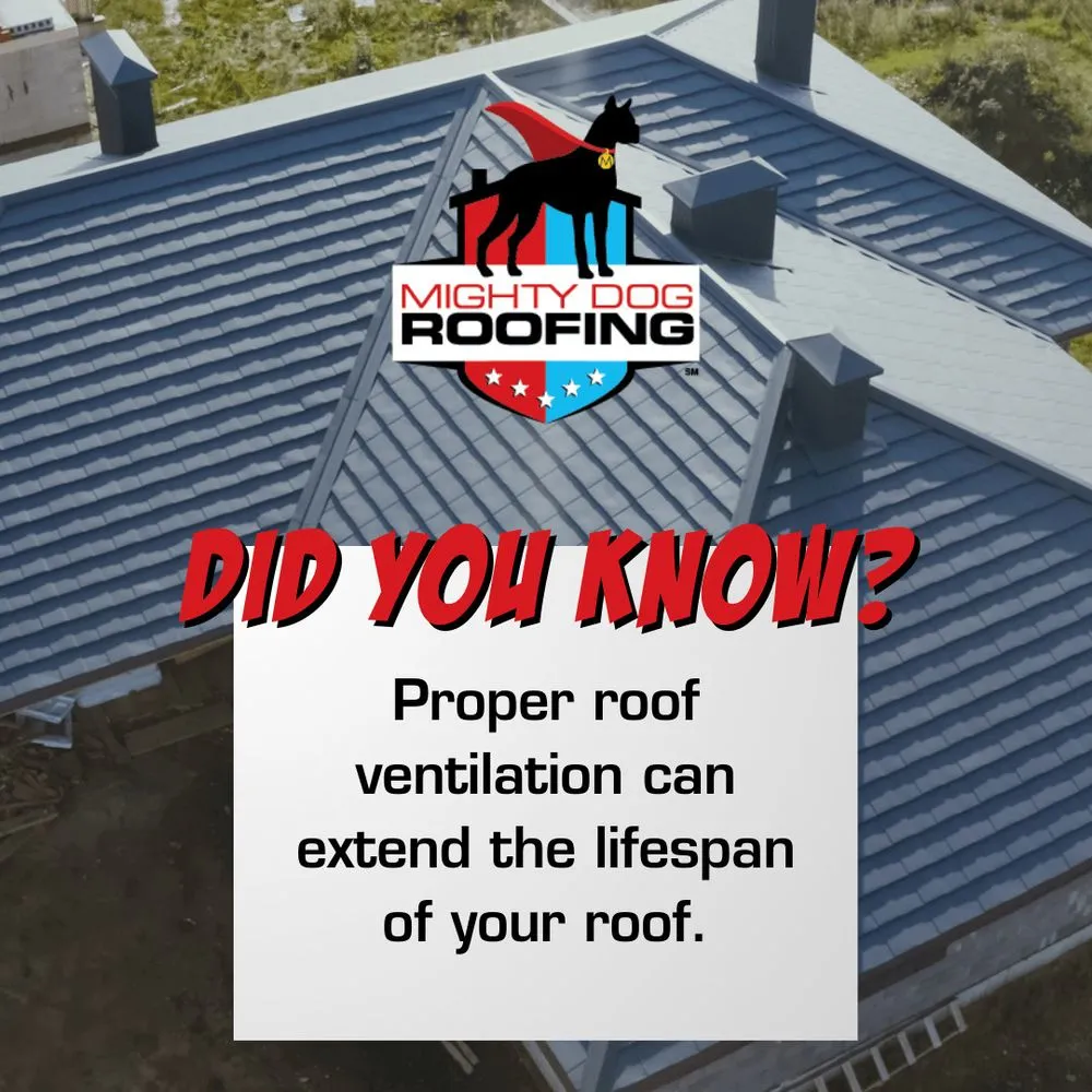 Slide of Mighty Dog Roofing of San Antonio