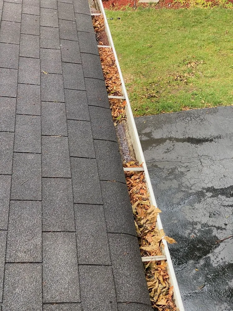 Slide of Mighty Dog Roofing of SE Tampa