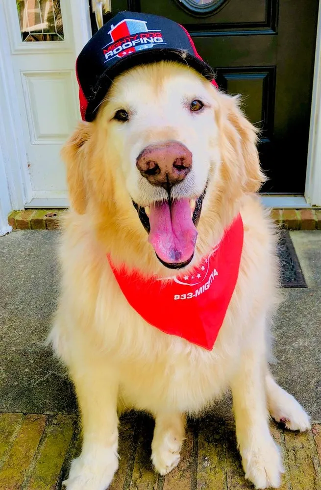 Slide of Mighty Dog Roofing of South Charlotte