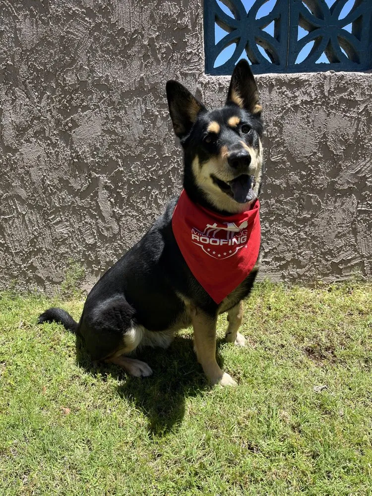 Slide of Mighty Dog Roofing of Tucson