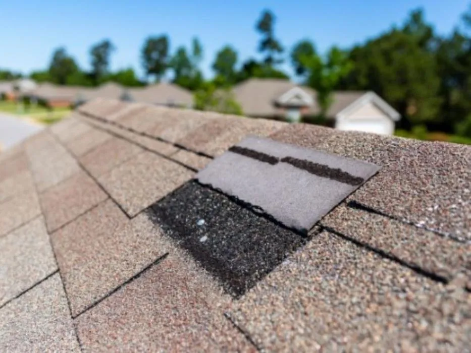 Slide of Mighty Dog Roofing