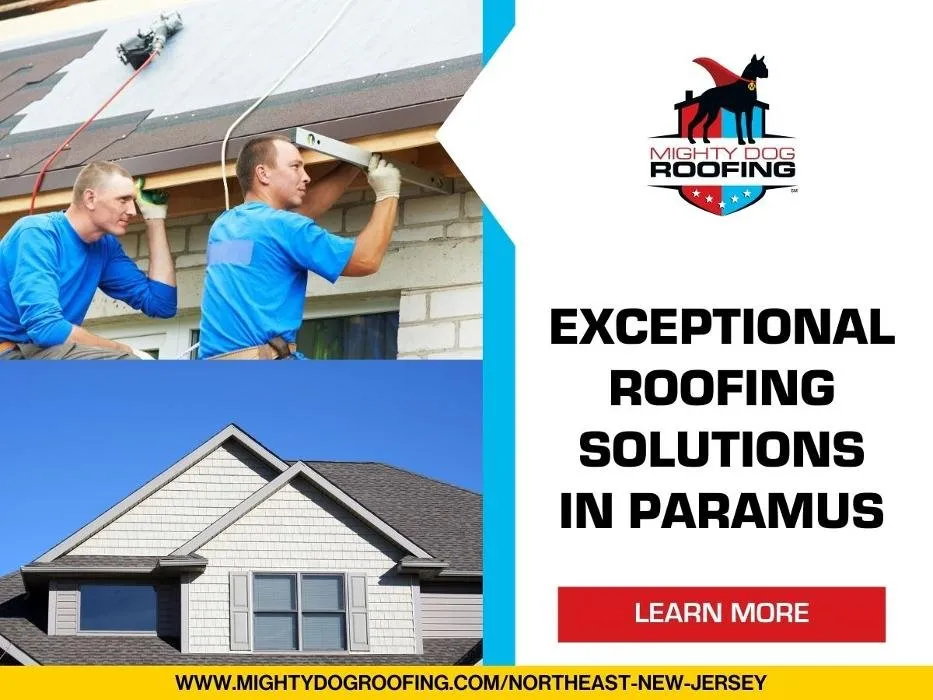 Slide of Mighty Dog Roofing