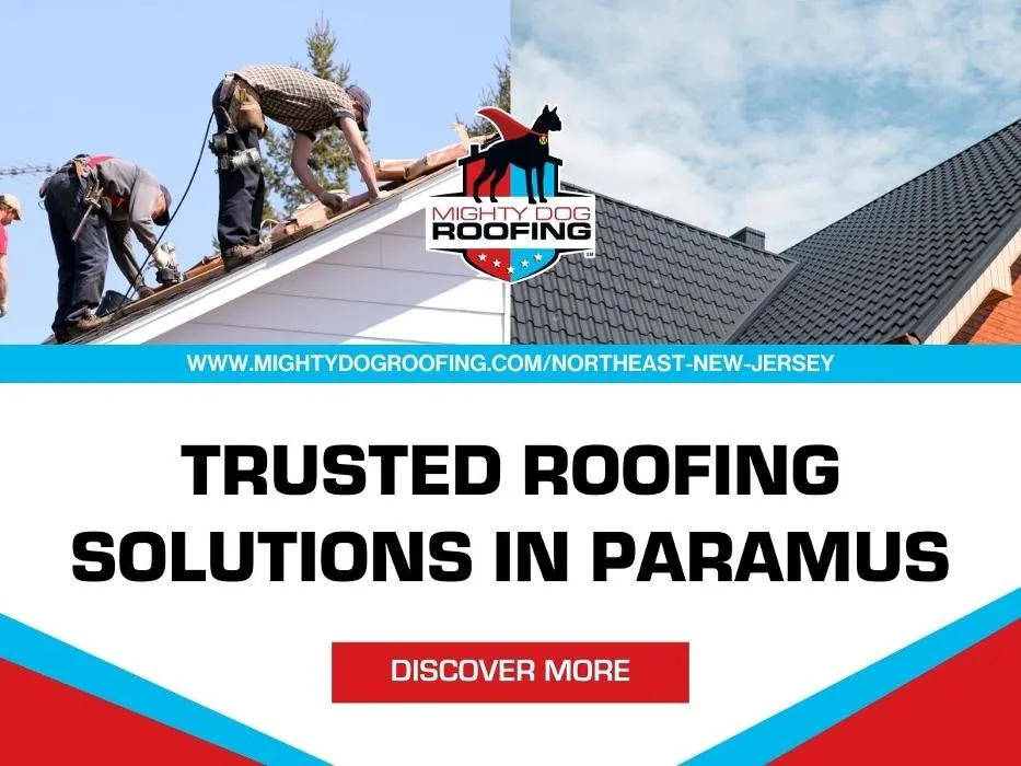 Slide of Mighty Dog Roofing