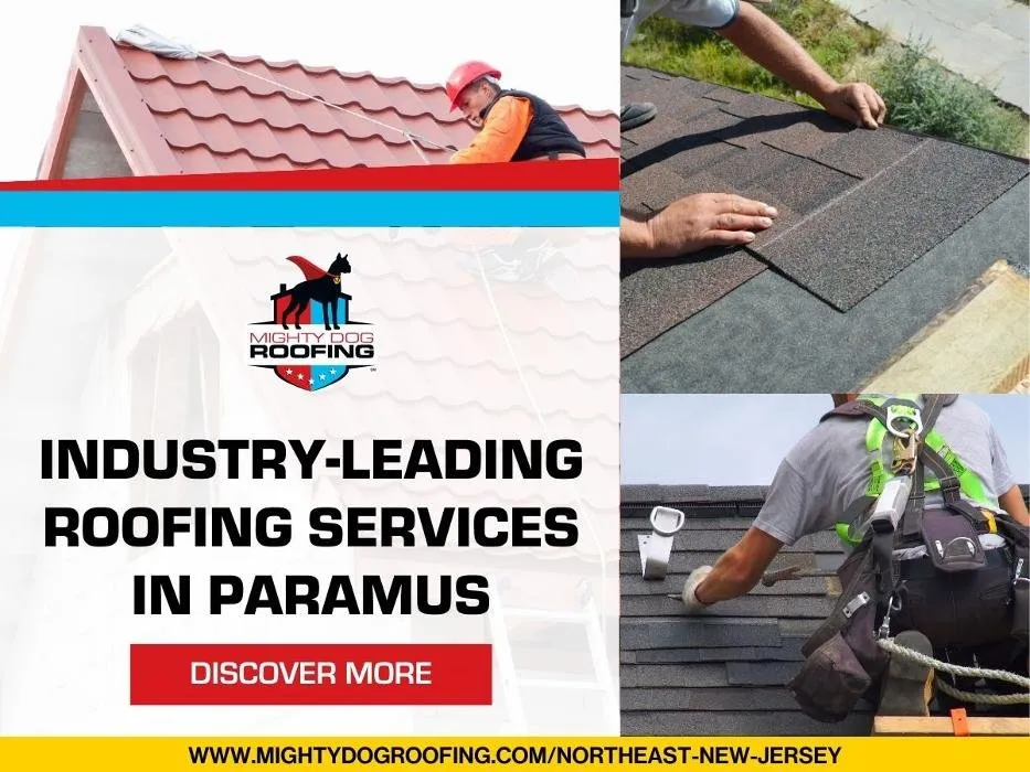 Slide of Mighty Dog Roofing