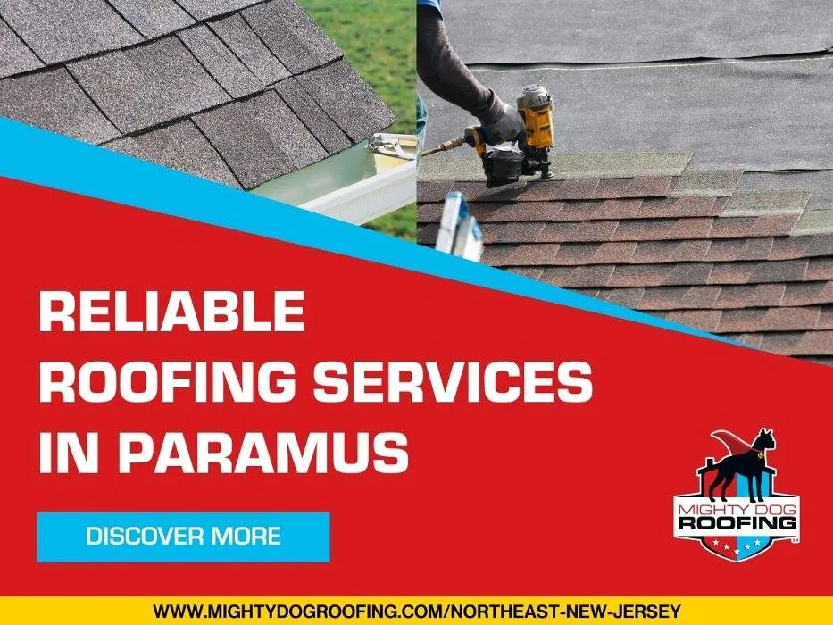 Slide of Mighty Dog Roofing