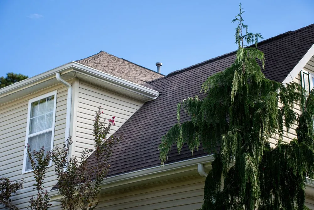 Slide of Mighty Dog Roofing