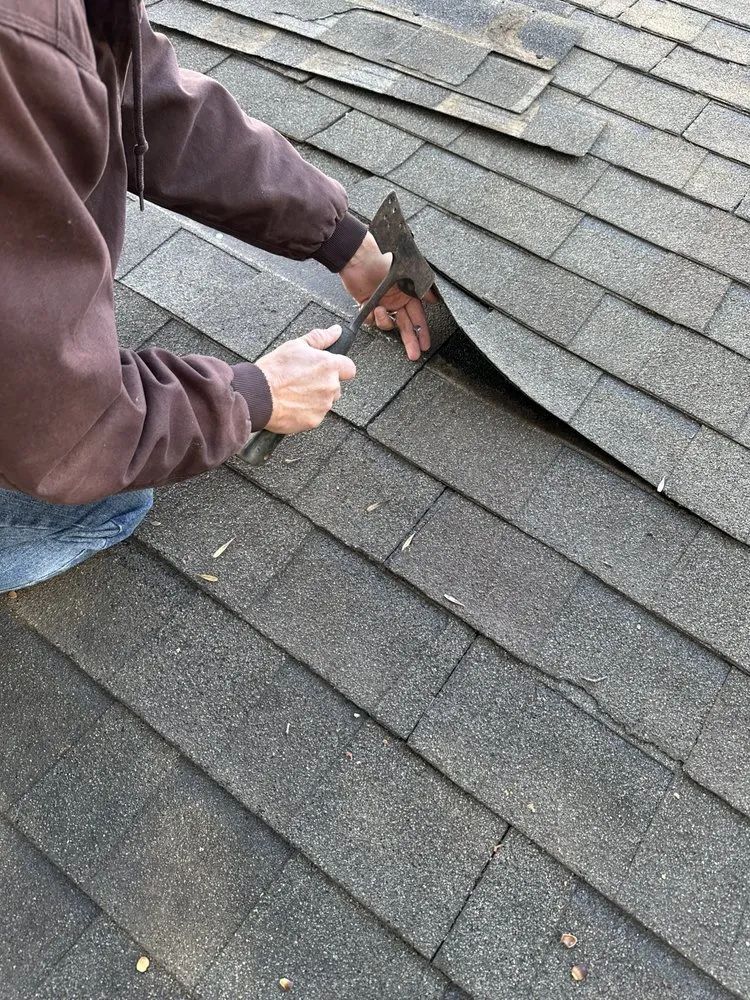 Slide of Mighty Dog Roofing