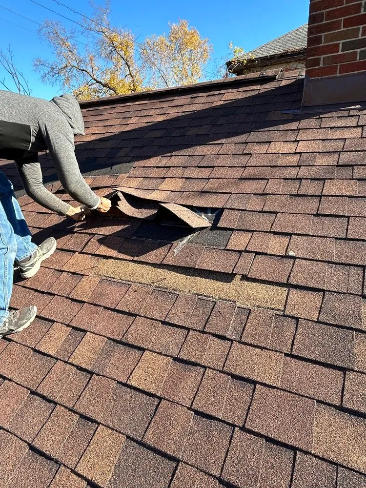 Slide of Mighty Dog Roofing