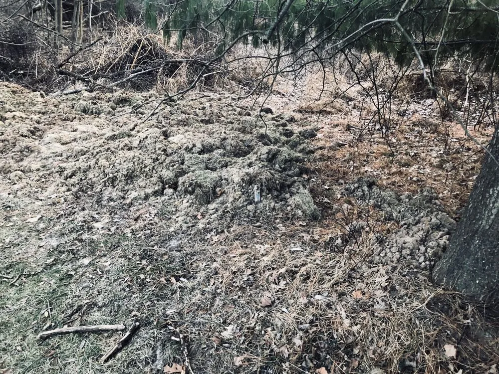 Slide of Migos Tree Service & Pavers