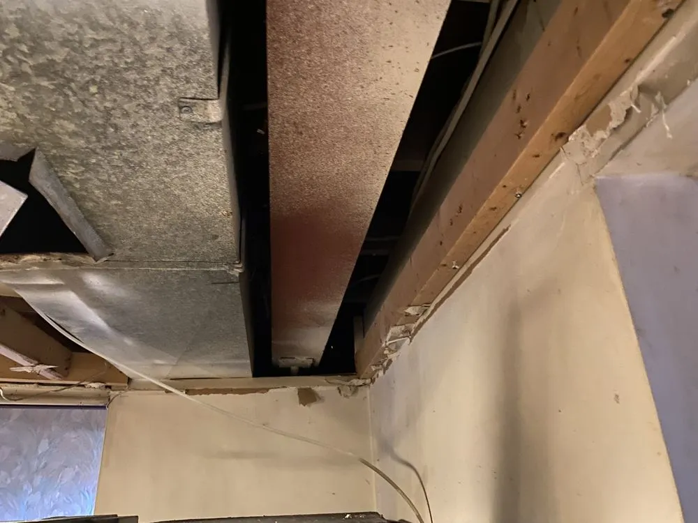 Slide of Miguel Construction