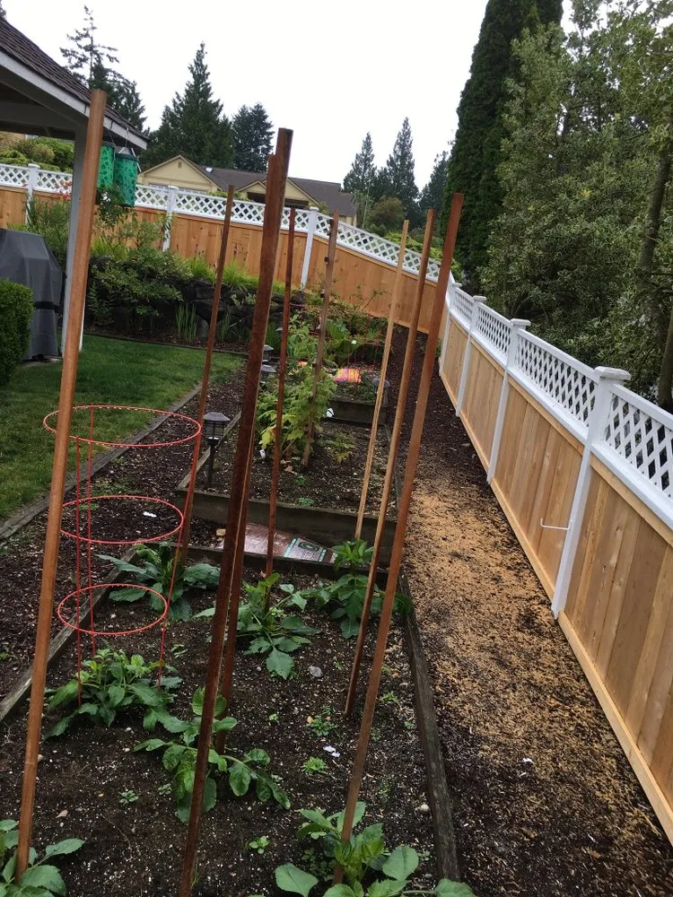 Slide of Miguel Gaspar lawn care