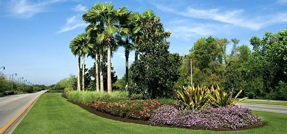 Slide of Miguel Landscaping