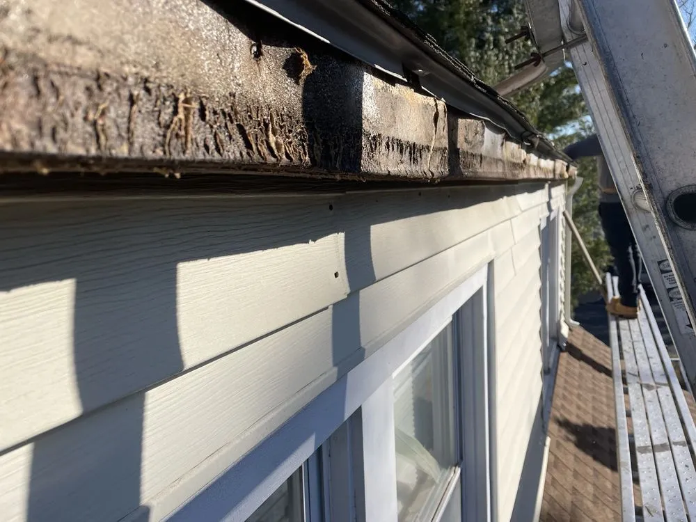 Slide of Miguel &Son Roofing