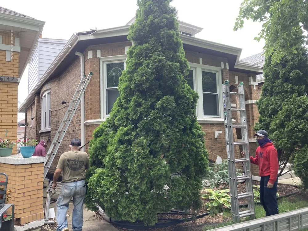 Slide of Miguel’s Roofing & Masonry