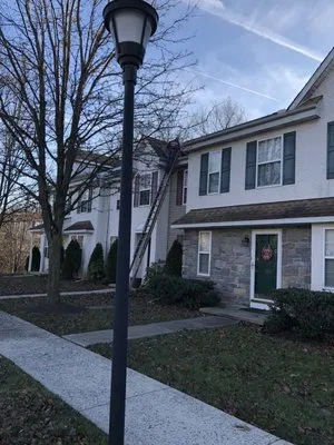 Mike Evangelist Roof Leaks