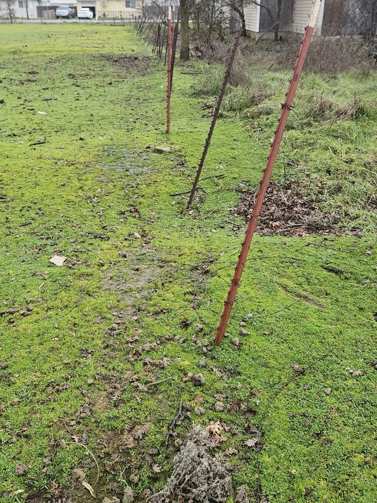 Slide of Mike Walker Lumber