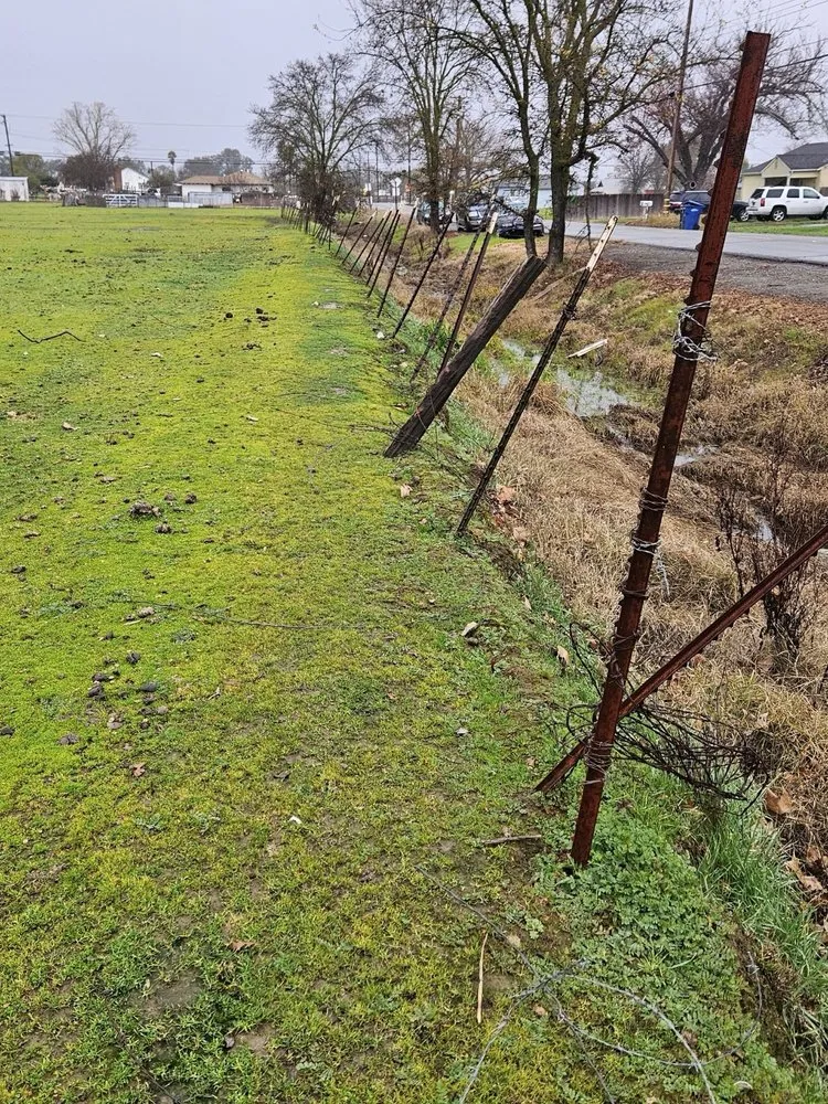 Slide of Mike Walker Lumber