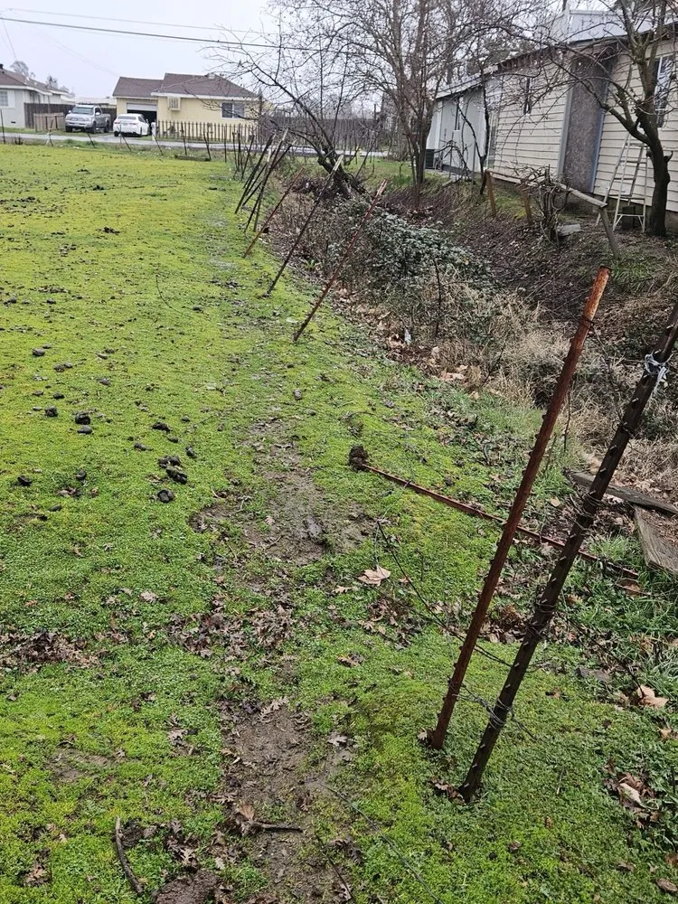 Slide of Mike Walker Lumber