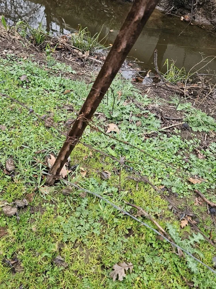 Slide of Mike Walker Lumber