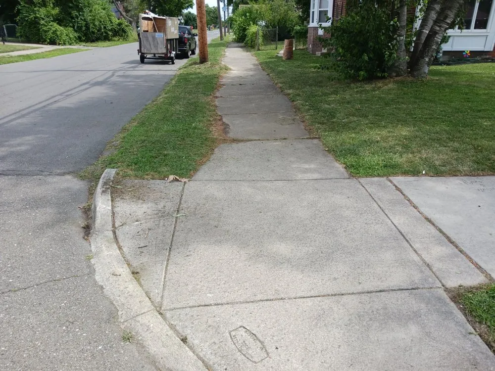 Slide of Mike's Grass Seed