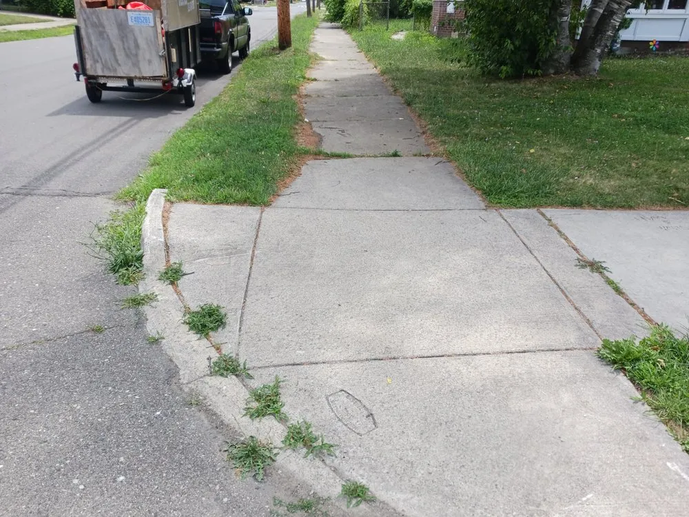 Slide of Mike's Grass Seed