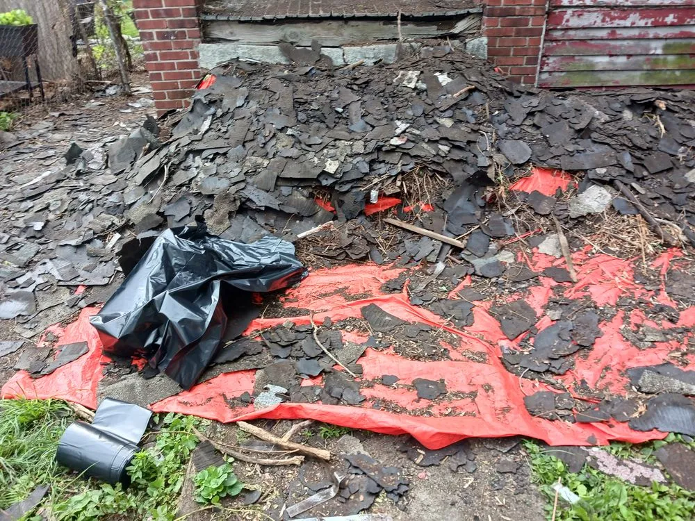 Slide of Mike's Grass Seed