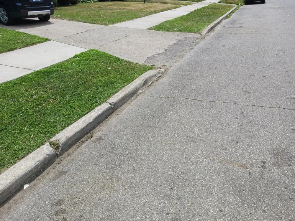 Slide of Mike's Grass Seed