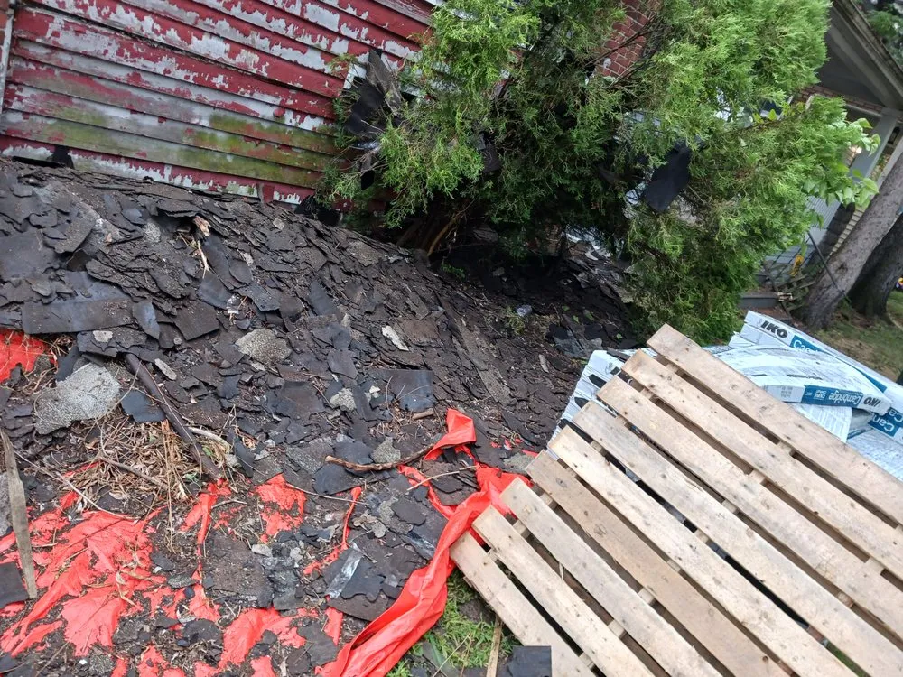 Slide of Mike's Grass Seed