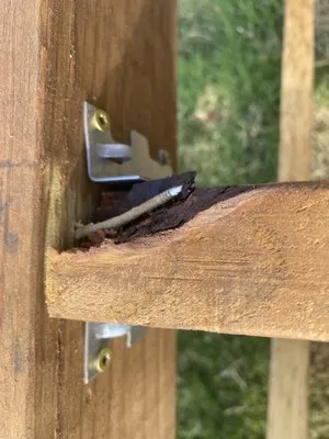 Mike's Siding & Restoration Logo