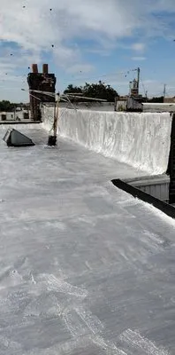 Mikey Shaw Roofing Logo