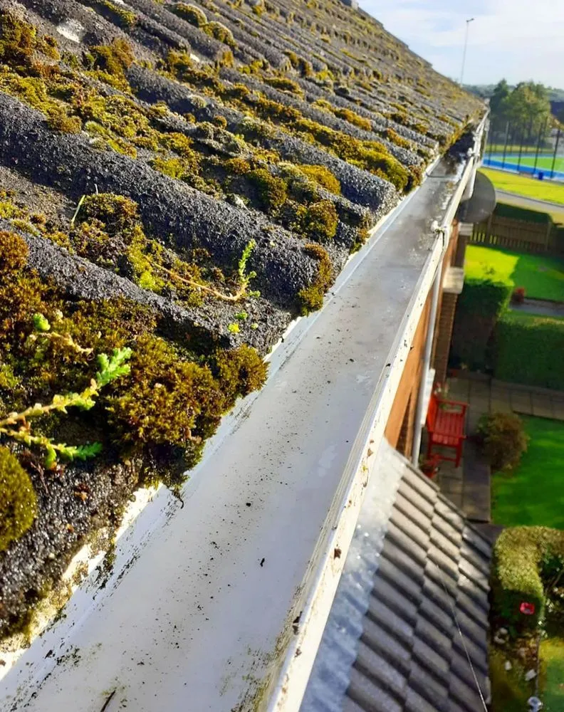 Slide of Mill Park Roofing