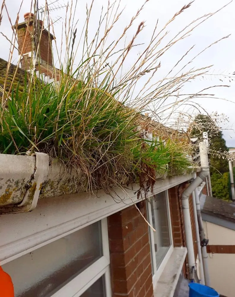 Slide of Mill Park Roofing